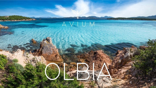 Ibiza · Olbia Event  product_description AVIUM JETS.