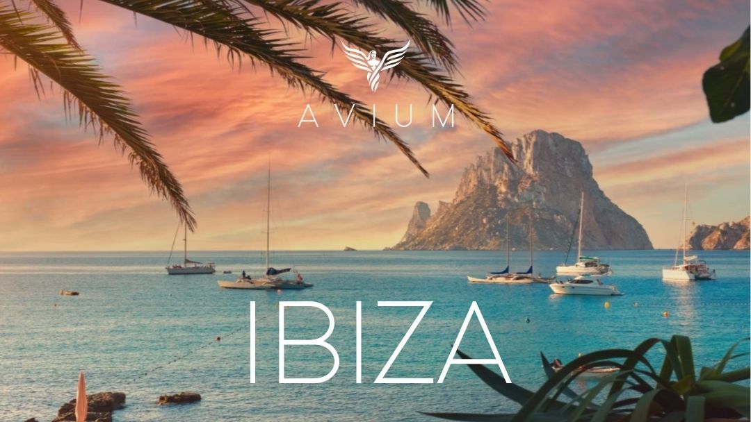 その他 Jet to Ibiza [CD] Z Records presents Ibiza 2025 | Various Artists | Z Records